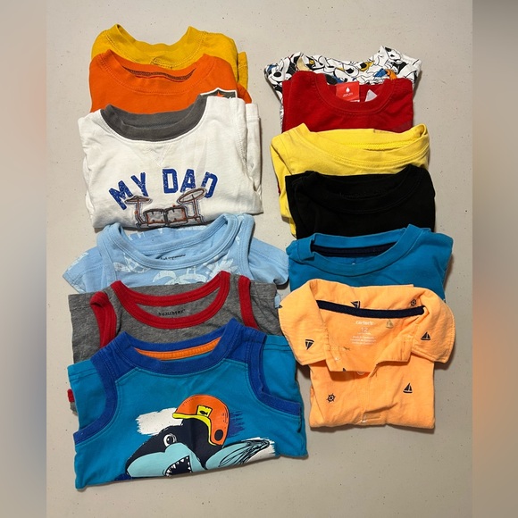 Carter's Other - 12 mo Boy's Tops Bundle (12 pieces)